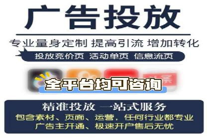 搜索引擎推广的佼佼者——百度搜索推广案例